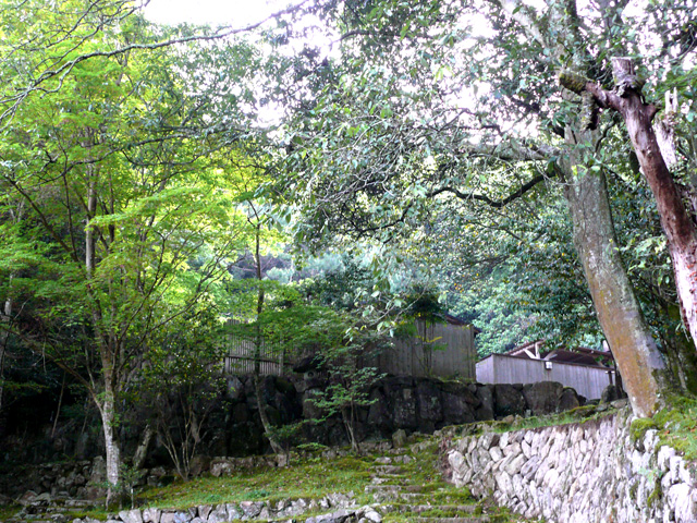 庭の風景