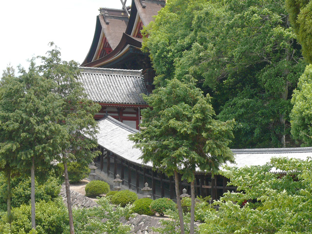 本殿屋根と回廊