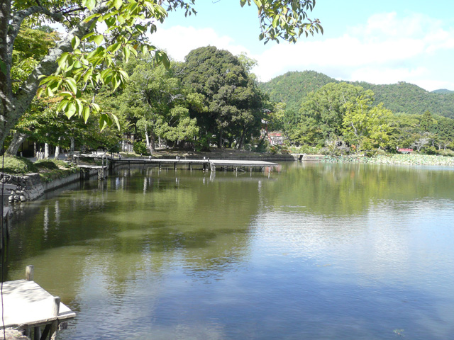 大沢池