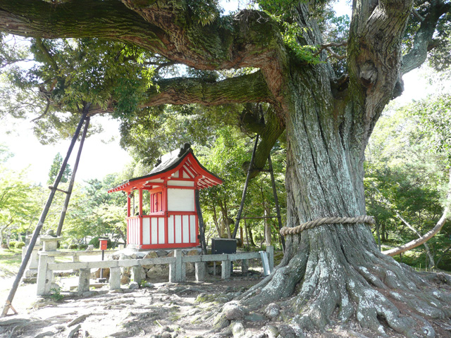 天神島