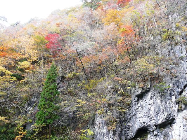 紅葉の崖1
