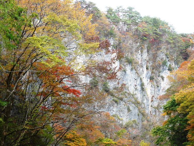 紅葉の崖2