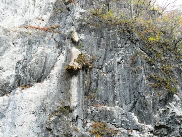 獅子が鼻