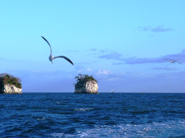 鴎と島影