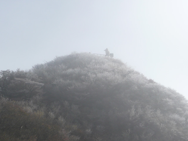 山上展望台