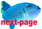 next page