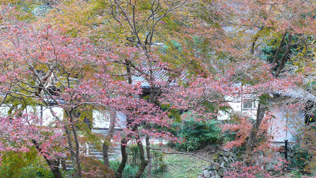 正暦寺福寿院