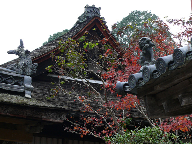福寿院の屋根