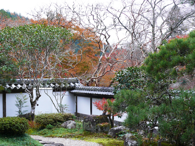 庭と紅葉