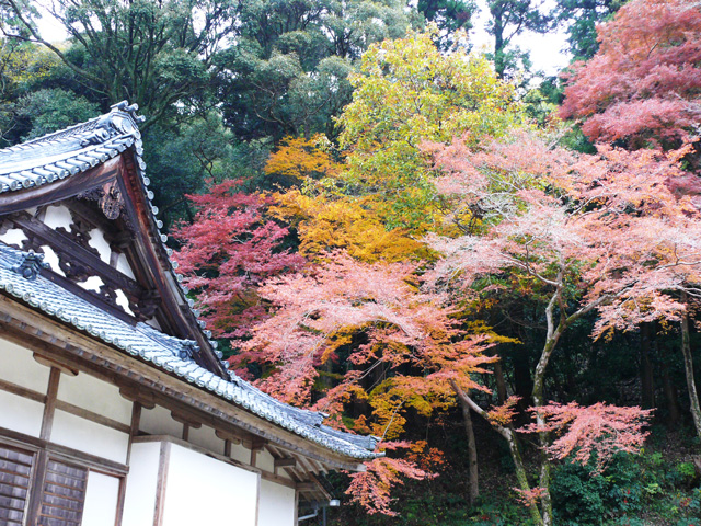 本堂と紅葉