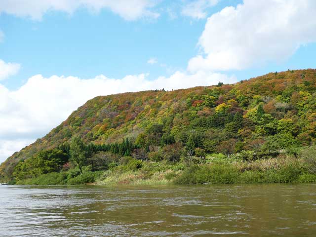 濁流と紅葉