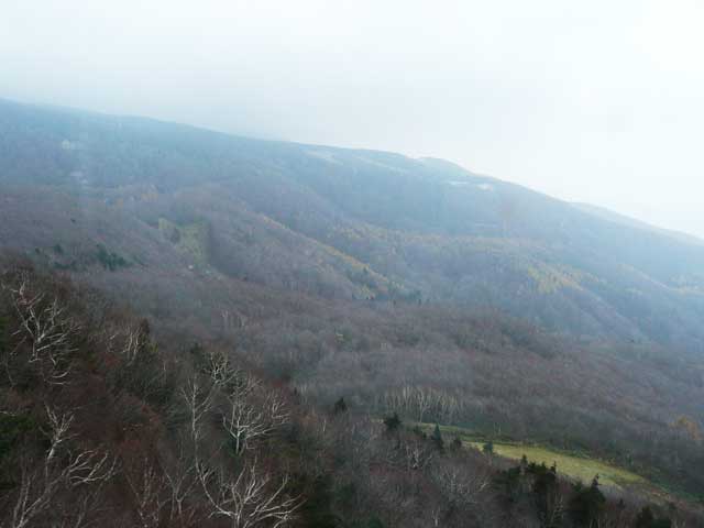 山頂線方向